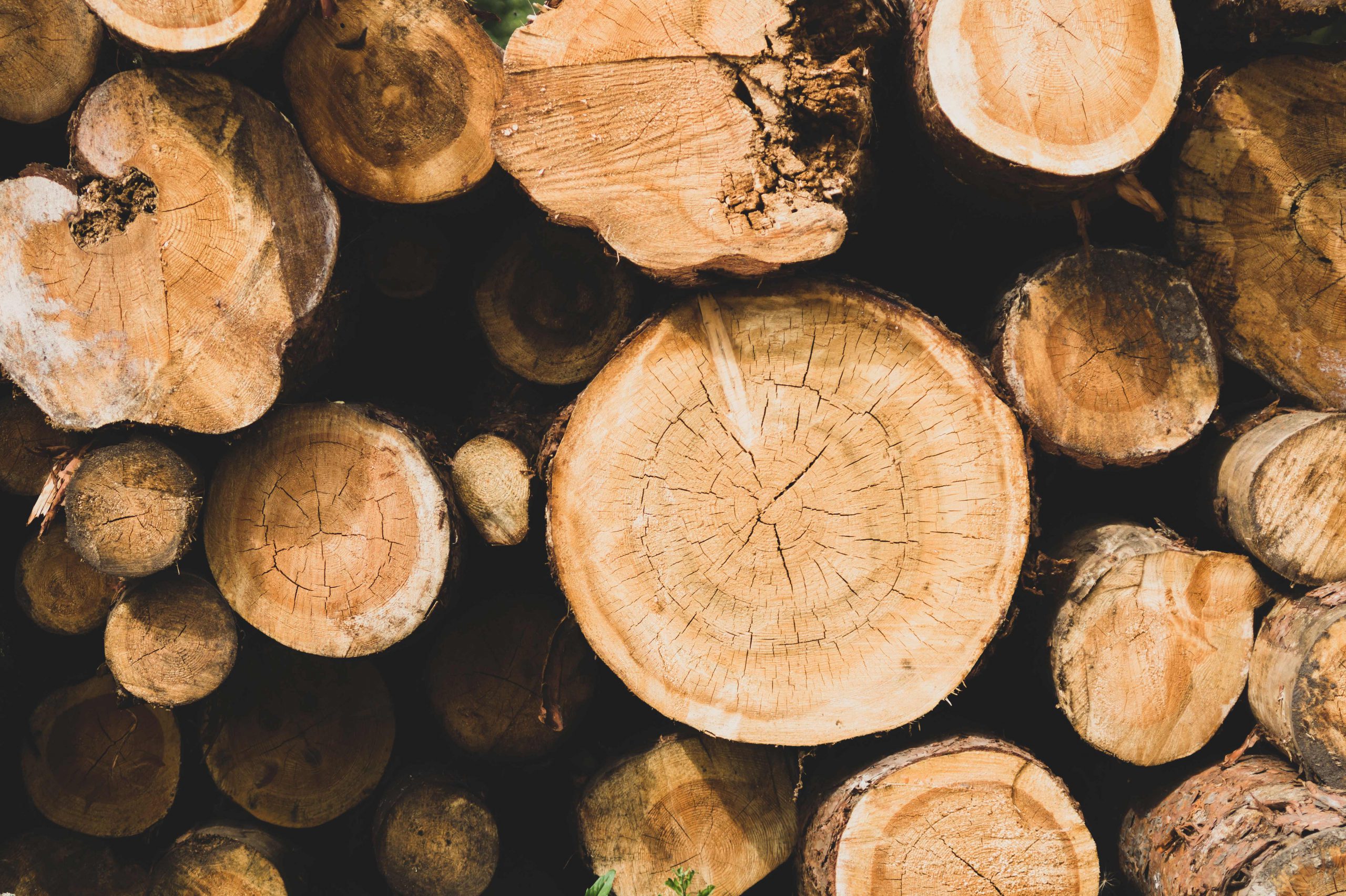 Timber–Webinar